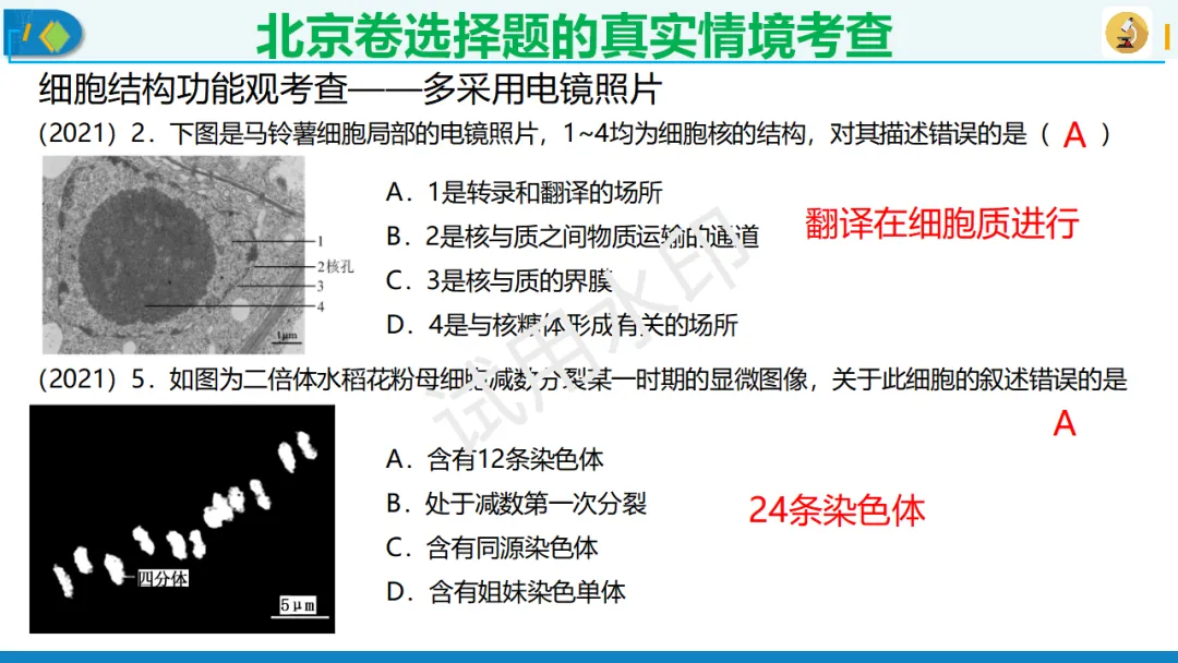 北京卷生物高考典型试题解析,附真题套卷及解析下载-第1张图片-四季读书网