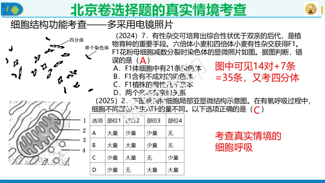 北京卷生物高考典型试题解析,附真题套卷及解析下载-第2张图片-四季读书网
