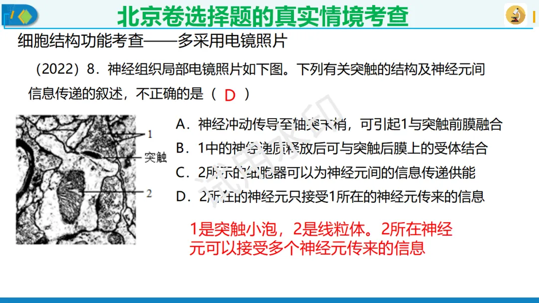 北京卷生物高考典型试题解析,附真题套卷及解析下载-第3张图片-四季读书网