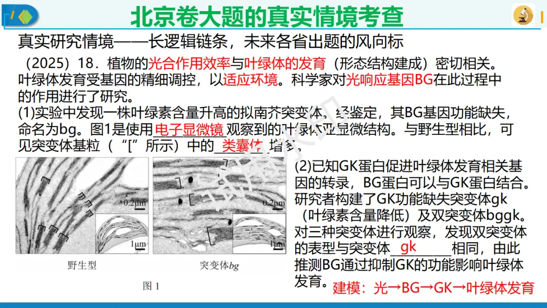 北京卷生物高考典型试题解析,附真题套卷及解析下载-第8张图片-四季读书网