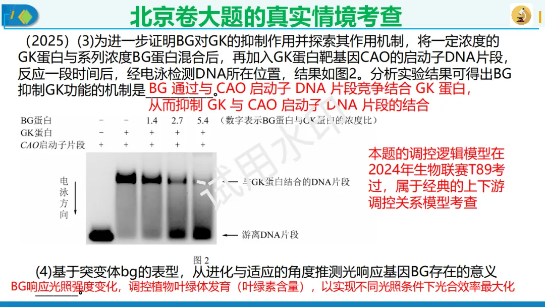 北京卷生物高考典型试题解析,附真题套卷及解析下载-第9张图片-四季读书网