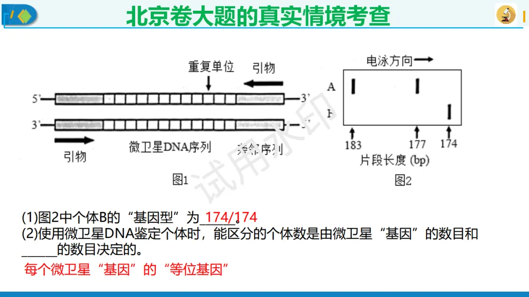 北京卷生物高考典型试题解析,附真题套卷及解析下载-第11张图片-四季读书网