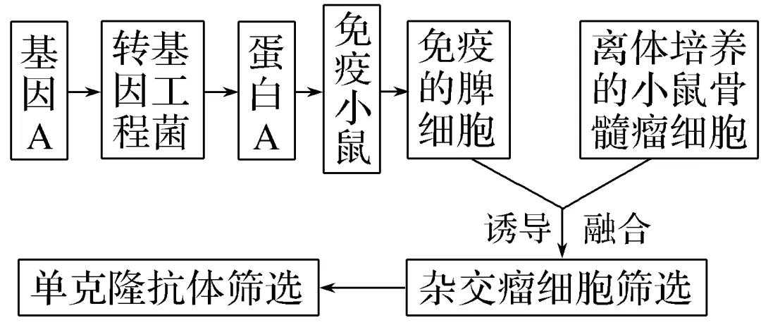 生物技术与工程专题感悟真题·长句表述-第1张图片-四季读书网