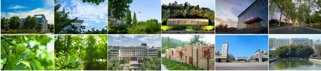 2026年在职研究生入学考试录取结果查询►2027中共云南省委党校在职研究生招生历年试卷往年真题卷预测卷冲刺密押试卷押题压题密卷-第51张图片-四季读书网 2026年在职研究生入学考试录取结果查询►2027中共云南省委党校在职研究生招生历年试卷往年真题卷预测卷冲刺密押试卷押题压题密卷-第51张图片-四季读书网