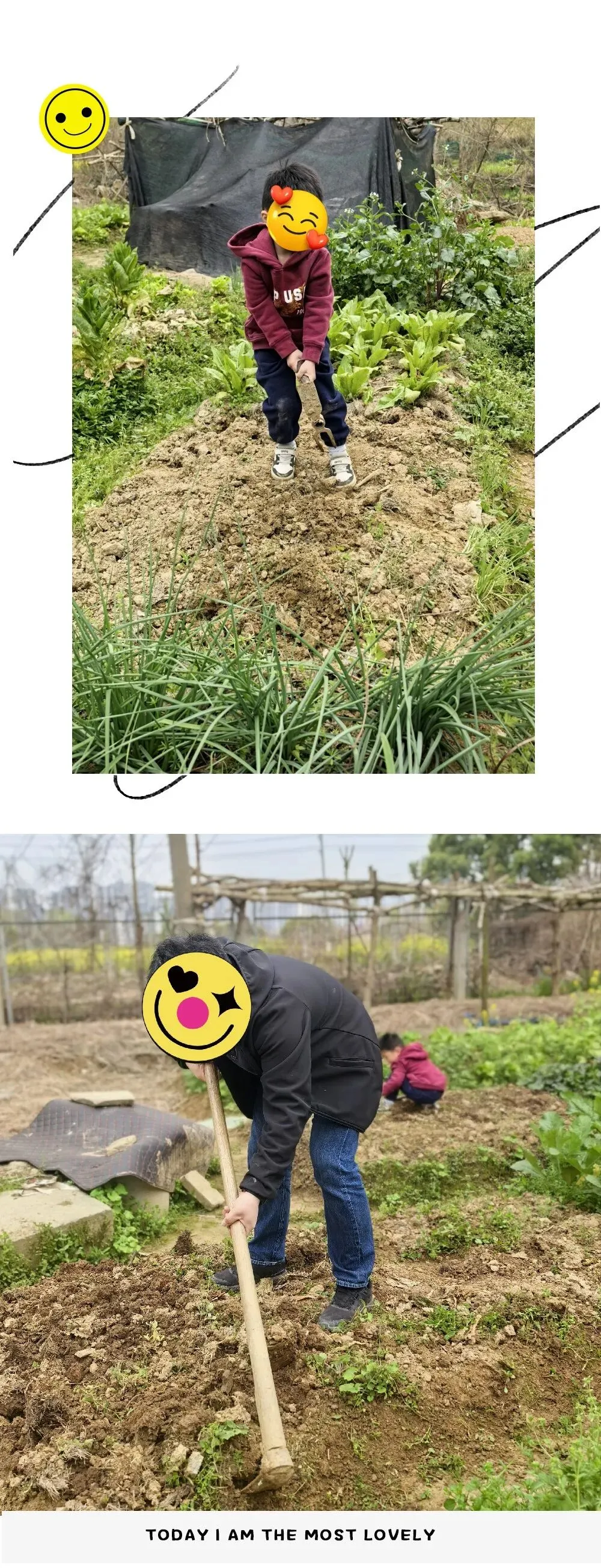中考陪读-第6张图片-四季读书网