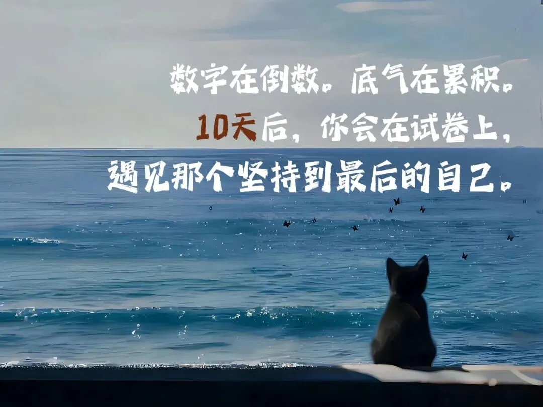 距中考10天-第1张图片-四季读书网
