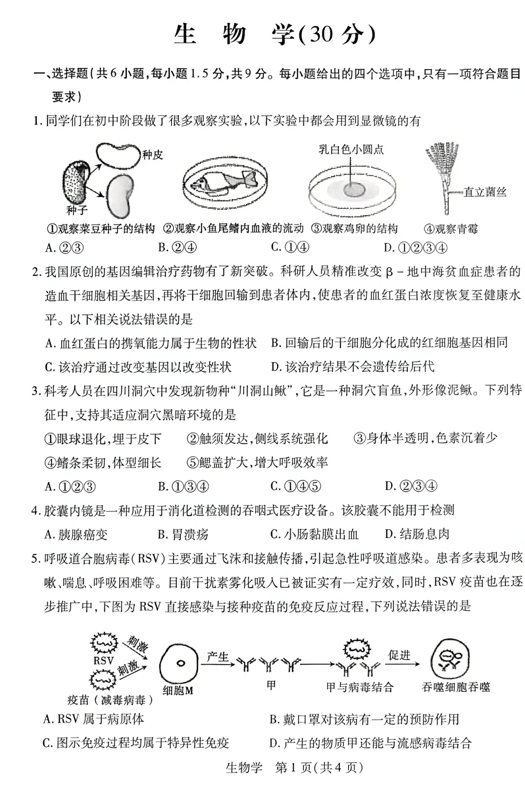 2026年5月青山中考二模试卷及答案(全科)-第59张图片-四季读书网