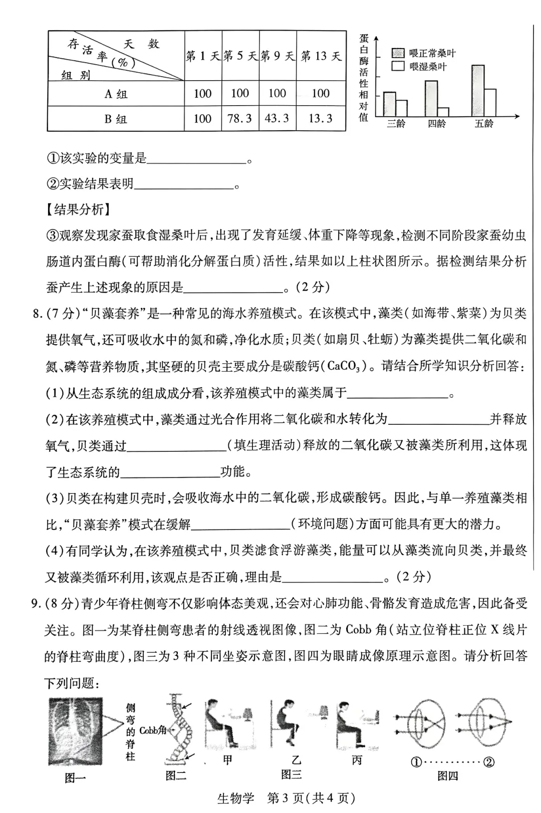 2026年5月青山中考二模试卷及答案(全科)-第61张图片-四季读书网