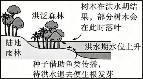 2026年七年级(下)期末复习试卷(2),点击下方“阅读原文”,即可获得下载链接!-第4张图片-四季读书网