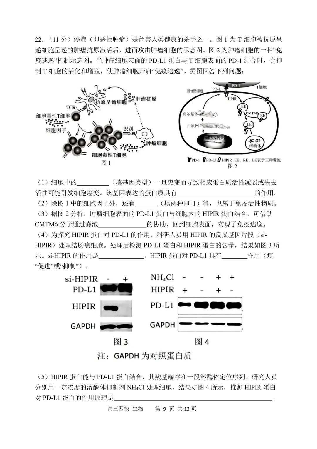 哈三中高三下第四次模拟考试卷+答案【2026】【生物】【高清电子版】-第10张图片-四季读书网