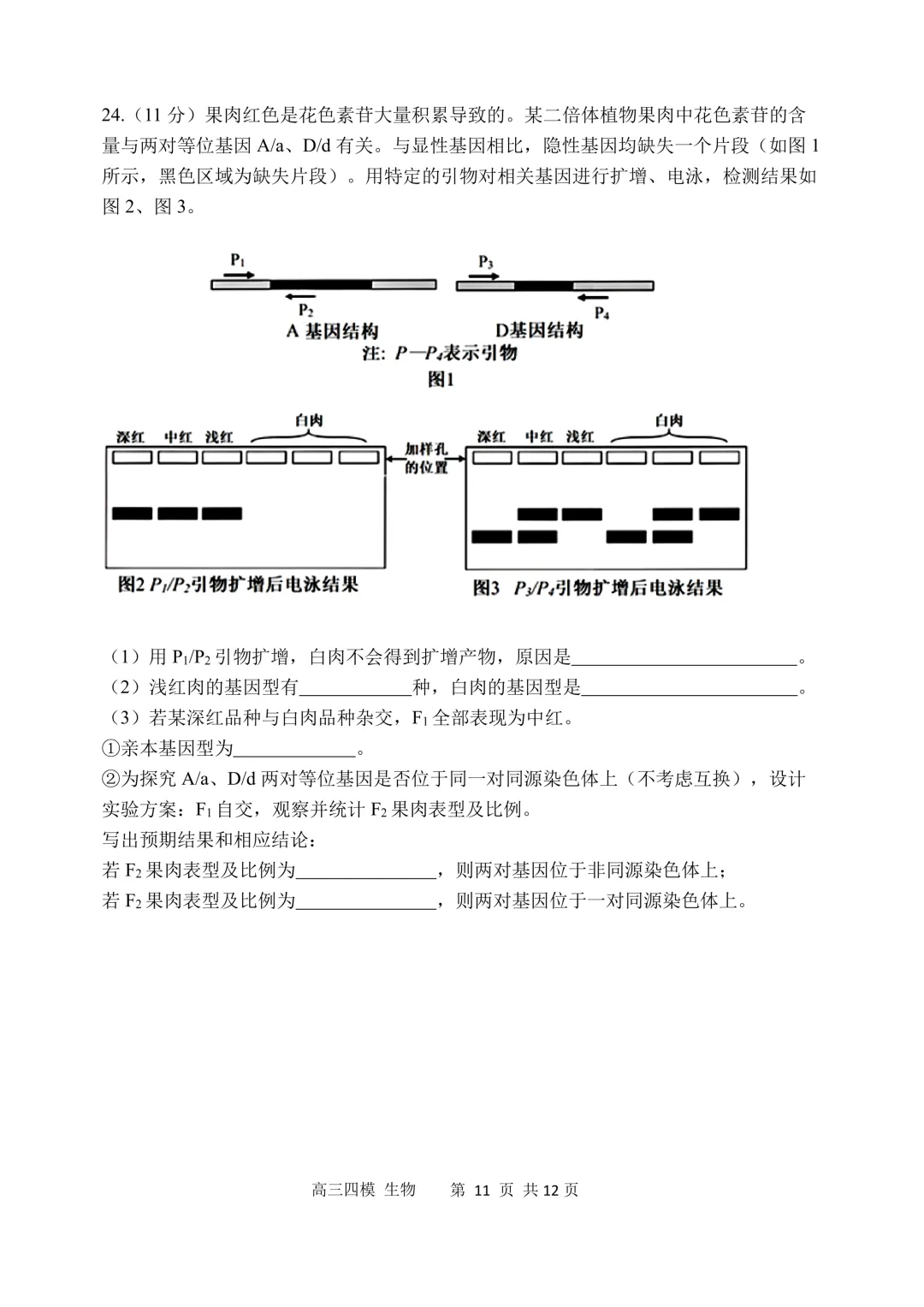 哈三中高三下第四次模拟考试卷+答案【2026】【生物】【高清电子版】-第12张图片-四季读书网
