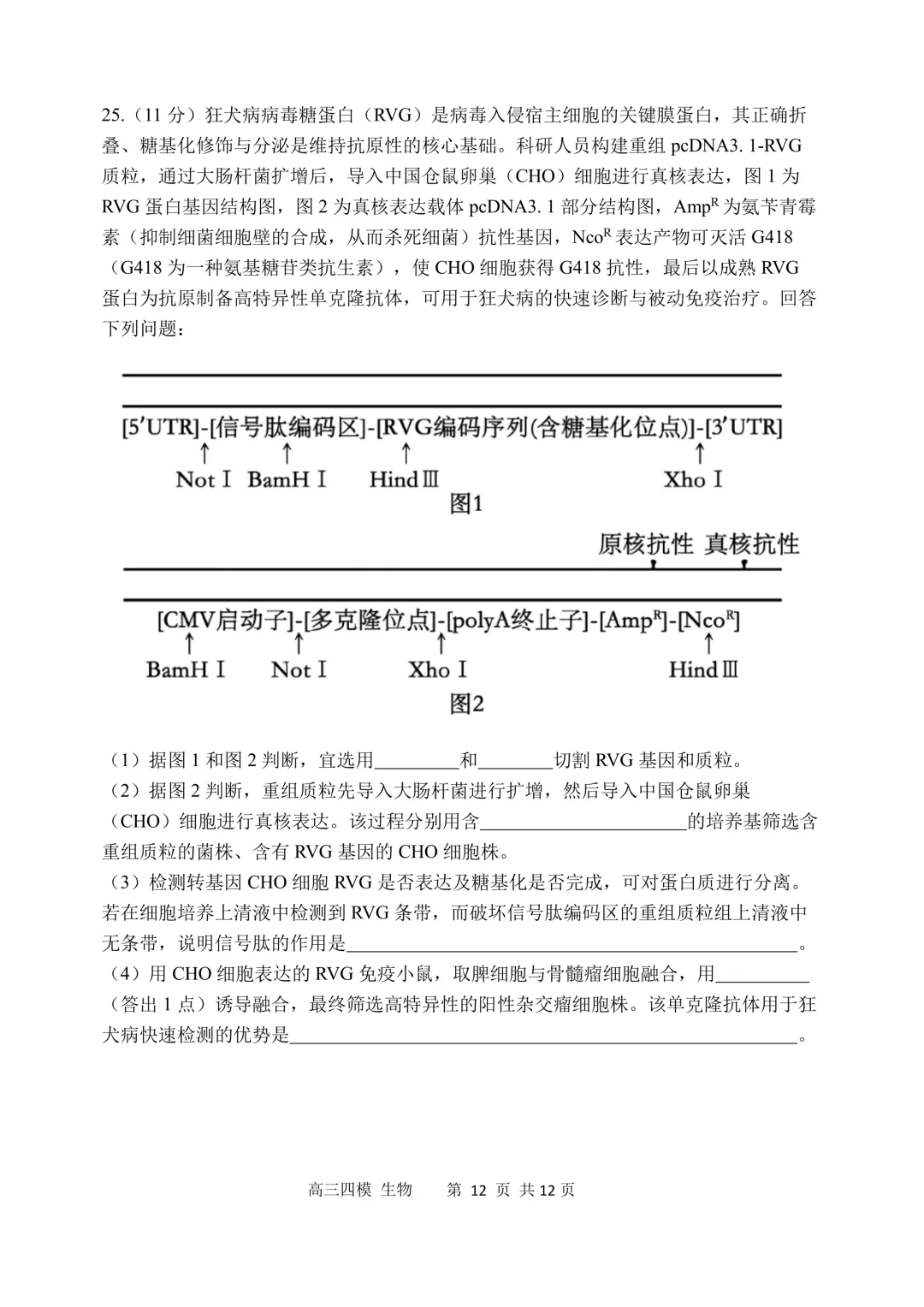 哈三中高三下第四次模拟考试卷+答案【2026】【生物】【高清电子版】-第13张图片-四季读书网