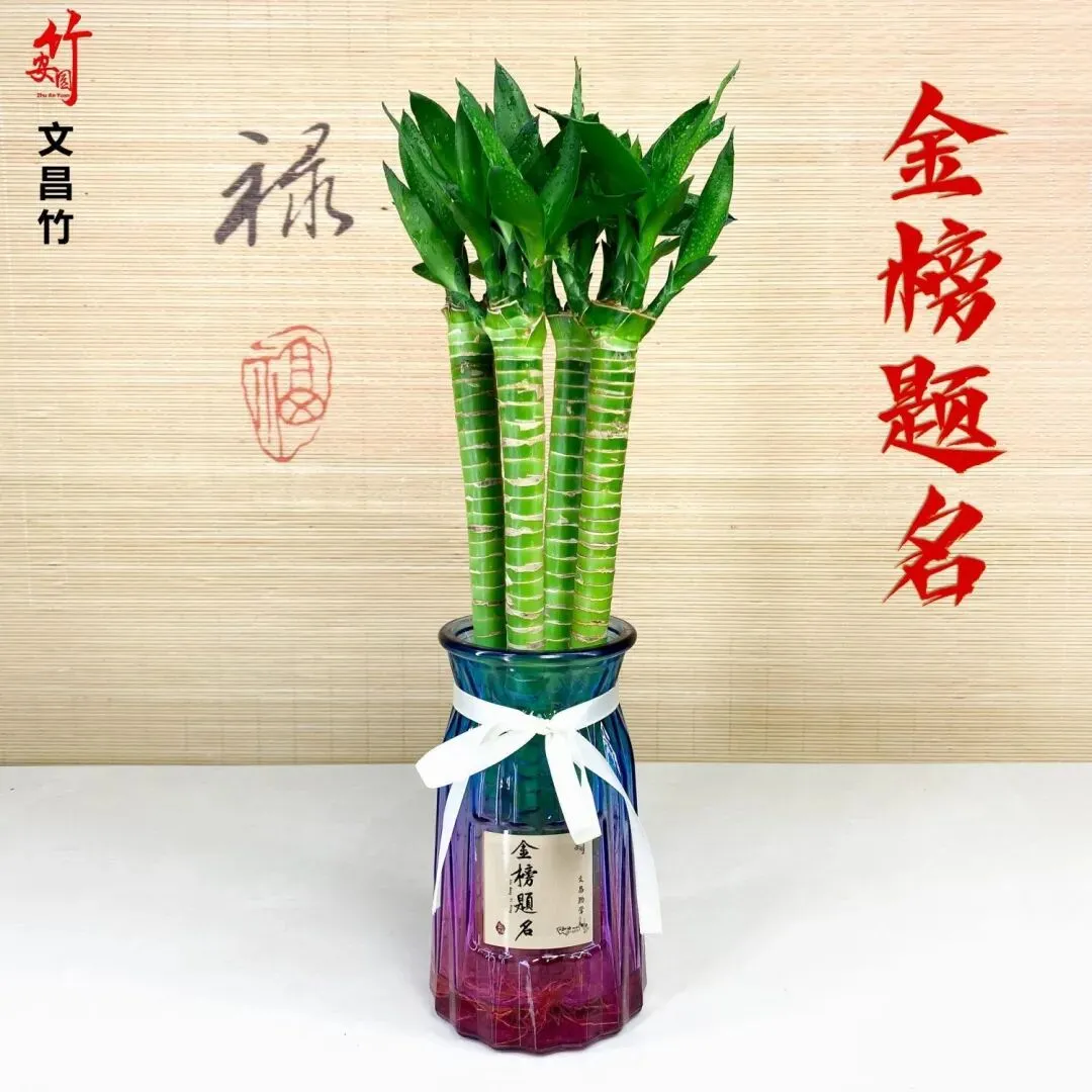 2026中考家长喜庆指南-第1张图片-四季读书网