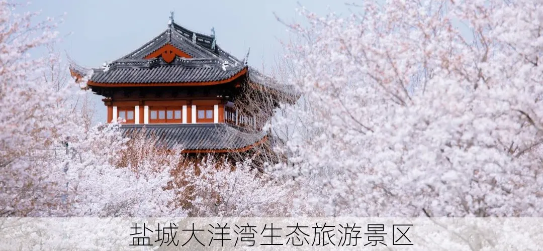 重要通知 | 关于高、中考期间大洋湾演艺停演通知-第8张图片-四季读书网