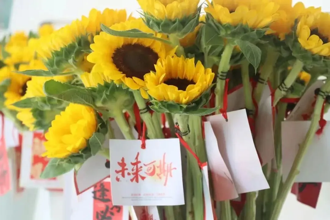 中考择校,我们来聊聊“低进高出”-第1张图片-四季读书网