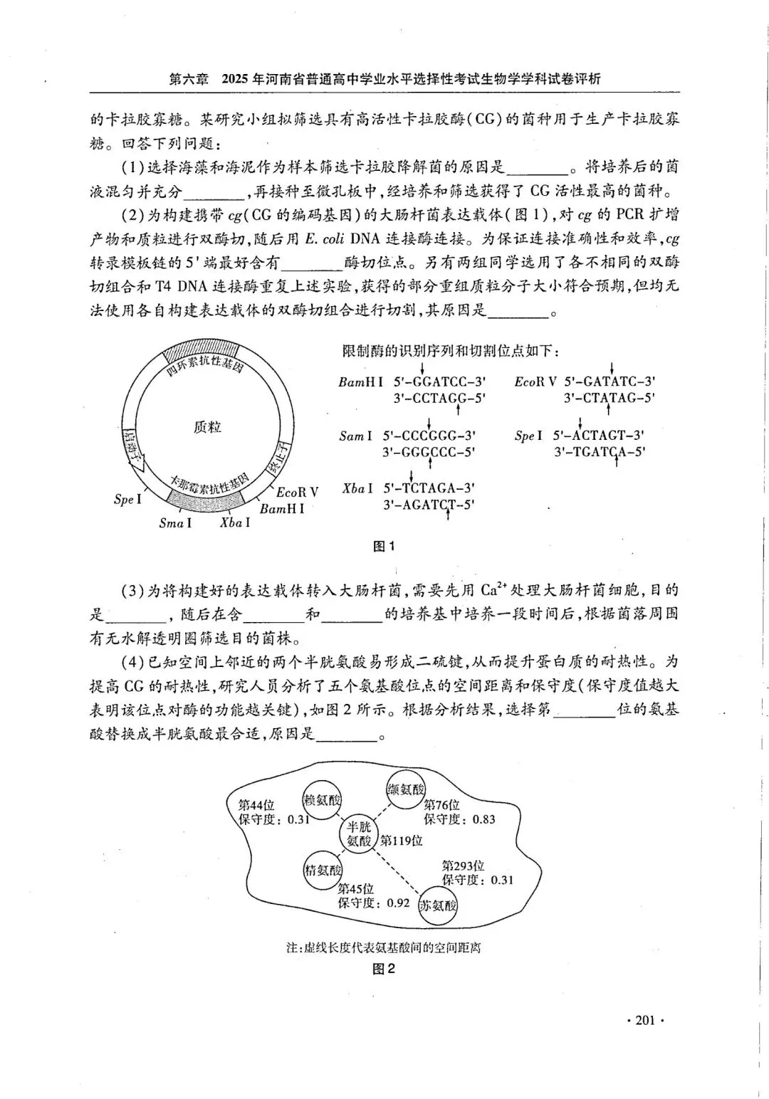 【高考真题官方答案系列】--2025年河南卷-第48张图片-四季读书网