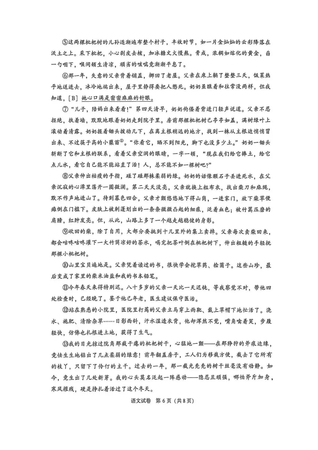 2026年大连市九年级【二模语文】试卷-第8张图片-四季读书网