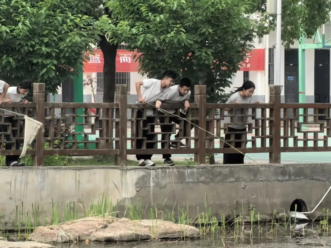 解压释负暖校园,凝心聚力迎中考——程桥初中九年级“和畅”龙虾节圆满举行-第20张图片-四季读书网