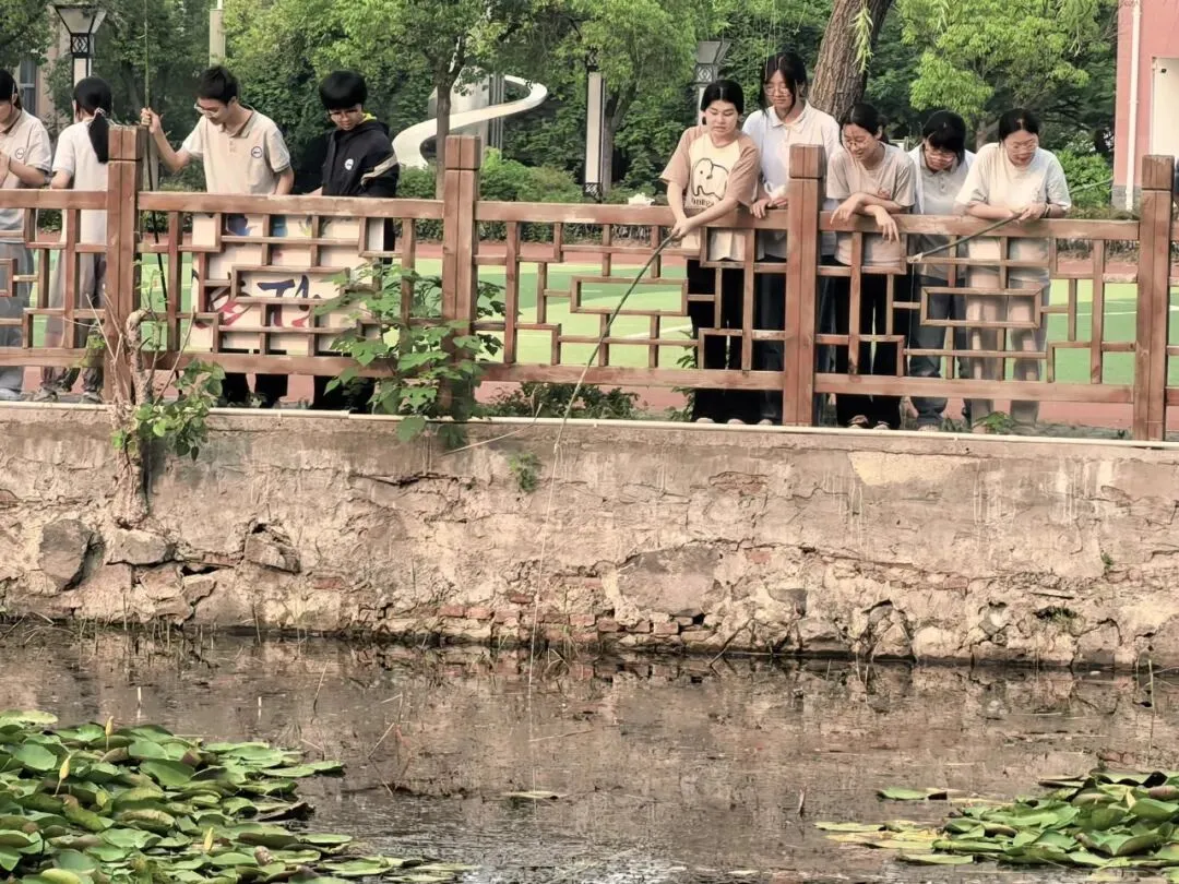 解压释负暖校园,凝心聚力迎中考——程桥初中九年级“和畅”龙虾节圆满举行-第22张图片-四季读书网
