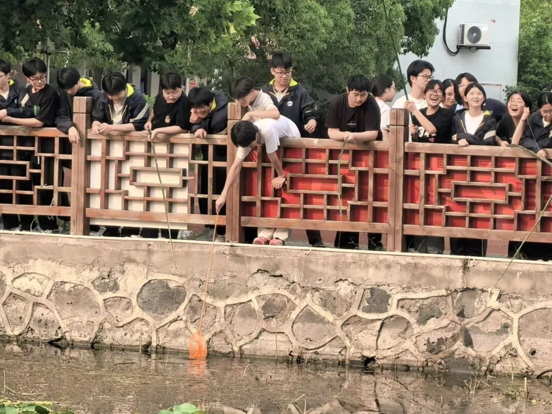 解压释负暖校园,凝心聚力迎中考——程桥初中九年级“和畅”龙虾节圆满举行-第23张图片-四季读书网