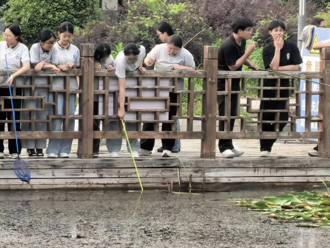 解压释负暖校园,凝心聚力迎中考——程桥初中九年级“和畅”龙虾节圆满举行-第26张图片-四季读书网