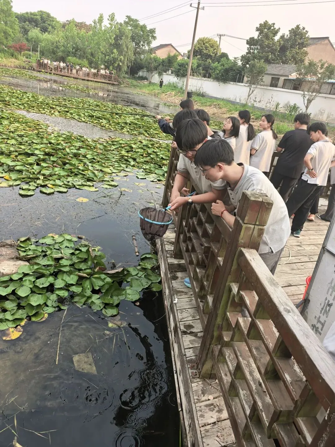 解压释负暖校园,凝心聚力迎中考——程桥初中九年级“和畅”龙虾节圆满举行-第31张图片-四季读书网