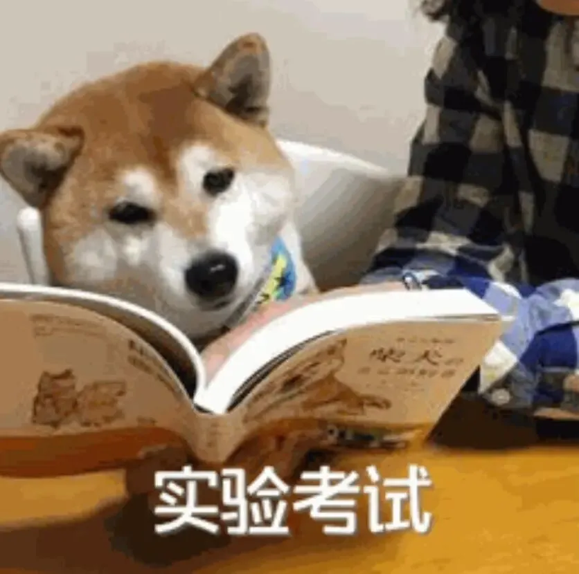 清华大学347【实验心理学】模拟考试正式开始!-第5张图片-四季读书网