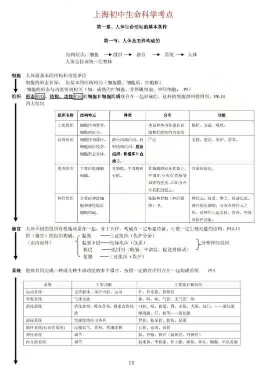 15分全拿满!2026上海中考跨学科备考手册+答题模板-第7张图片-四季读书网