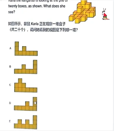 袋鼠数学竞赛备考丨L1~L6历年袋鼠真题全套资料高清(附详细解析)*-第16张图片-四季读书网