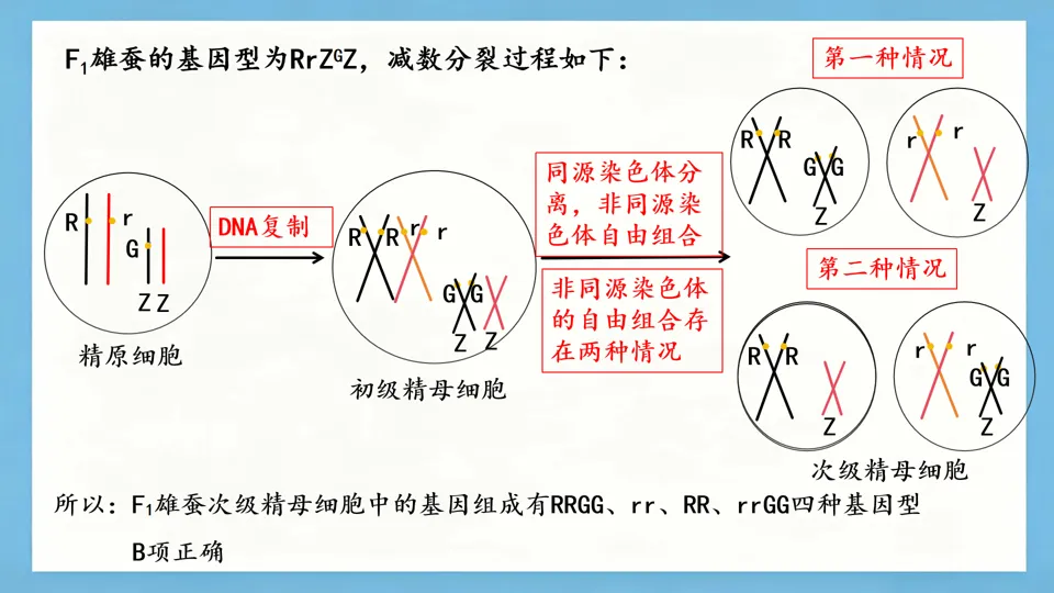 慢慢解真题|遗传基本规律(7):遗传规律与基因工程综合(2025黑吉辽蒙卷)-第3张图片-四季读书网