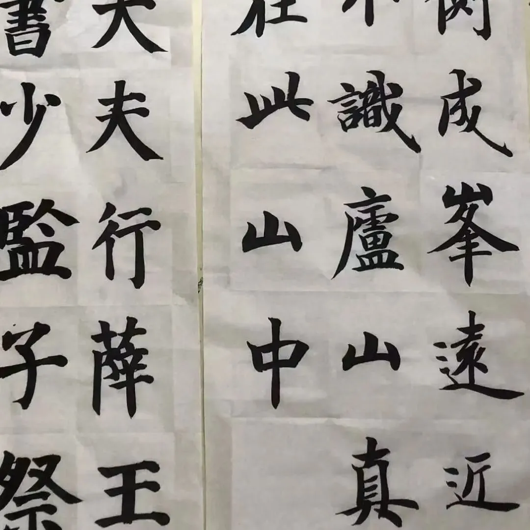 一“书”多用,搞定中考升学!-第11张图片-四季读书网
