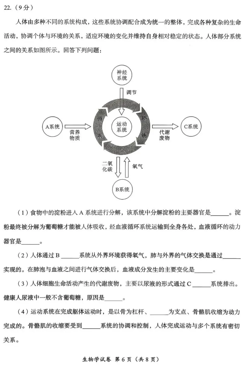 初中生物学业水平检测试卷(含答案),难度适中,适合打印自测!-第6张图片-四季读书网
