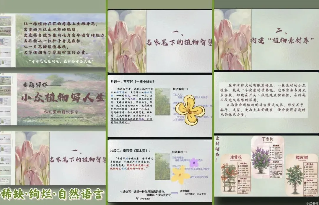 中考作文素材一:植物成长类8个 ——光杆橡皮树、自断手臂的槐树...新颖取材立意翻倍-第2张图片-四季读书网