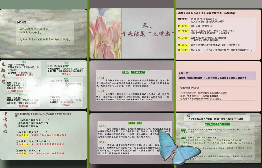 中考作文素材一:植物成长类8个 ——光杆橡皮树、自断手臂的槐树...新颖取材立意翻倍-第3张图片-四季读书网