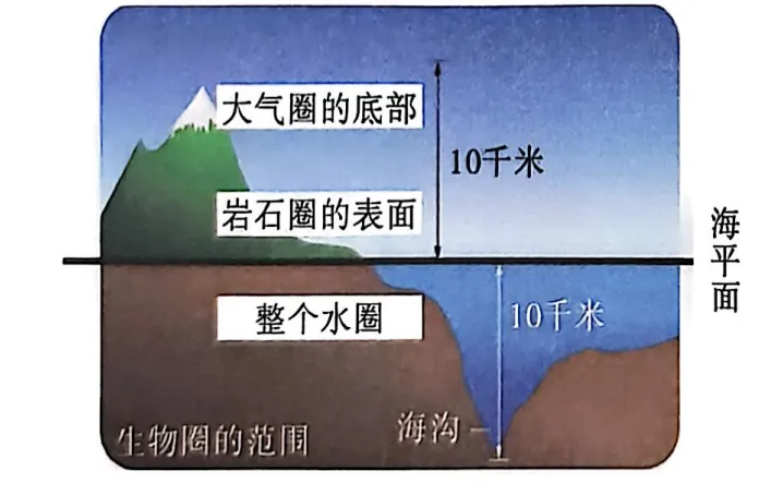 生物中考复习要点-第9张图片-四季读书网