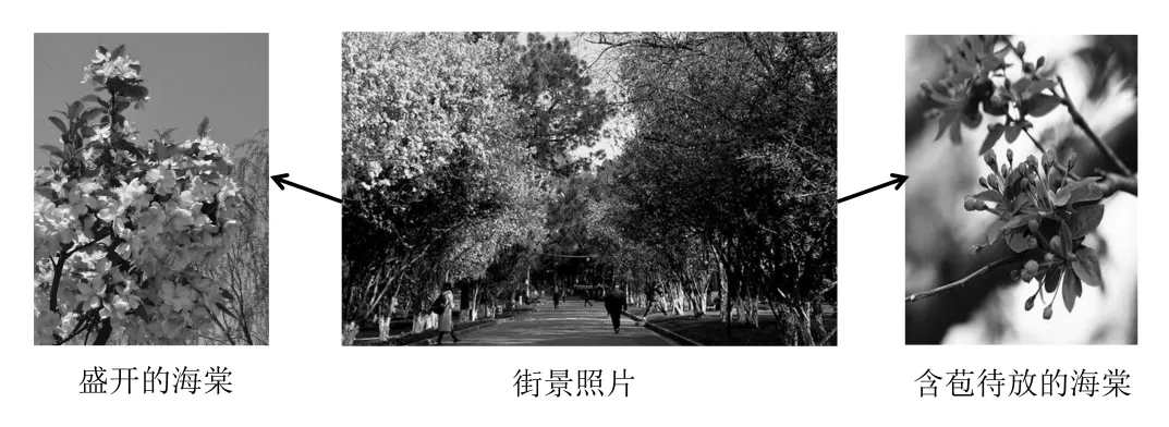 地方性分异规律|高考命题规律与真题剖析-第5张图片-四季读书网