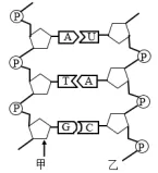 试题精选║湖北省2026届高三5月第二次模拟考试生物学试卷-第1张图片-四季读书网