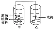 试题精选║湖北省2026届高三5月第二次模拟考试生物学试卷-第2张图片-四季读书网