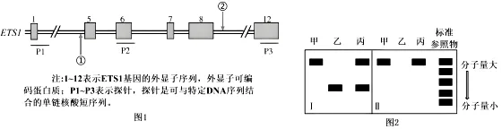 试题精选║湖北省2026届高三5月第二次模拟考试生物学试卷-第7张图片-四季读书网