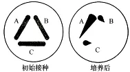 试题精选║湖北省2026届高三5月第二次模拟考试生物学试卷-第8张图片-四季读书网