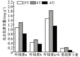 试题精选║湖北省2026届高三5月第二次模拟考试生物学试卷-第10张图片-四季读书网