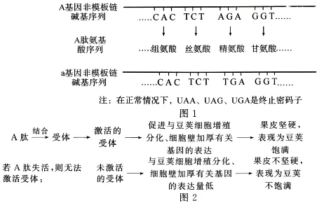 试题精选║湖北省2026届高三5月第二次模拟考试生物学试卷-第11张图片-四季读书网