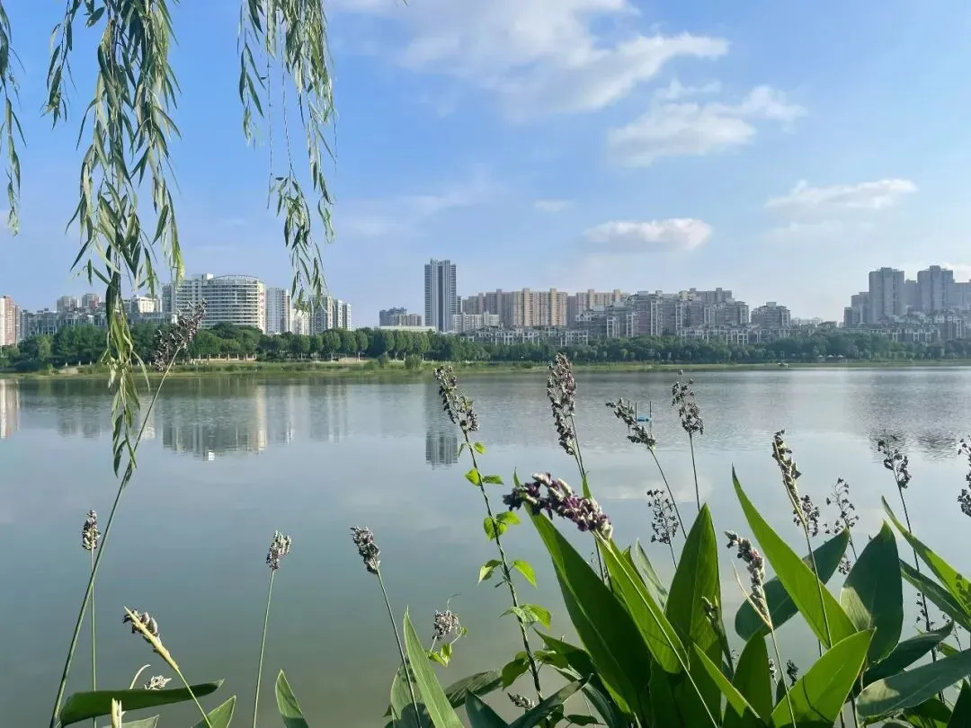 中考英语冠词核心考点(超清晰、应试专用)-第2张图片-四季读书网