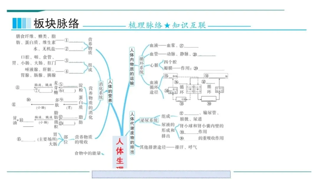 生物中考二轮复习pptx课件(共7个主题+4个专项,包括思维导图+特训之题型解读、方法技巧、专项突破等) 主题4 人体生理与健康-第3张图片-四季读书网 生物中考二轮复习pptx课件(共7个主题+4个专项,包括思维导图+特训之题型解读、方法技巧、专项突破等) 主题4 人体生理与健康-第3张图片-四季读书网
