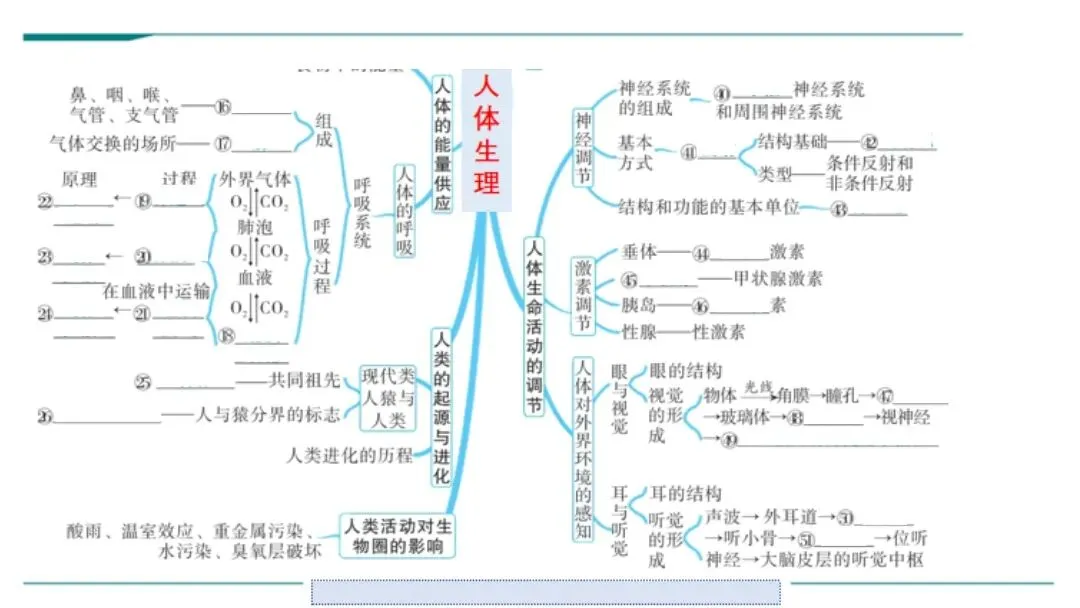 生物中考二轮复习pptx课件(共7个主题+4个专项,包括思维导图+特训之题型解读、方法技巧、专项突破等) 主题4 人体生理与健康-第4张图片-四季读书网 生物中考二轮复习pptx课件(共7个主题+4个专项,包括思维导图+特训之题型解读、方法技巧、专项突破等) 主题4 人体生理与健康-第4张图片-四季读书网