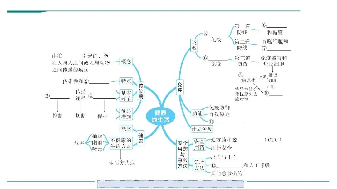生物中考二轮复习pptx课件(共7个主题+4个专项,包括思维导图+特训之题型解读、方法技巧、专项突破等) 主题4 人体生理与健康-第5张图片-四季读书网 生物中考二轮复习pptx课件(共7个主题+4个专项,包括思维导图+特训之题型解读、方法技巧、专项突破等) 主题4 人体生理与健康-第5张图片-四季读书网