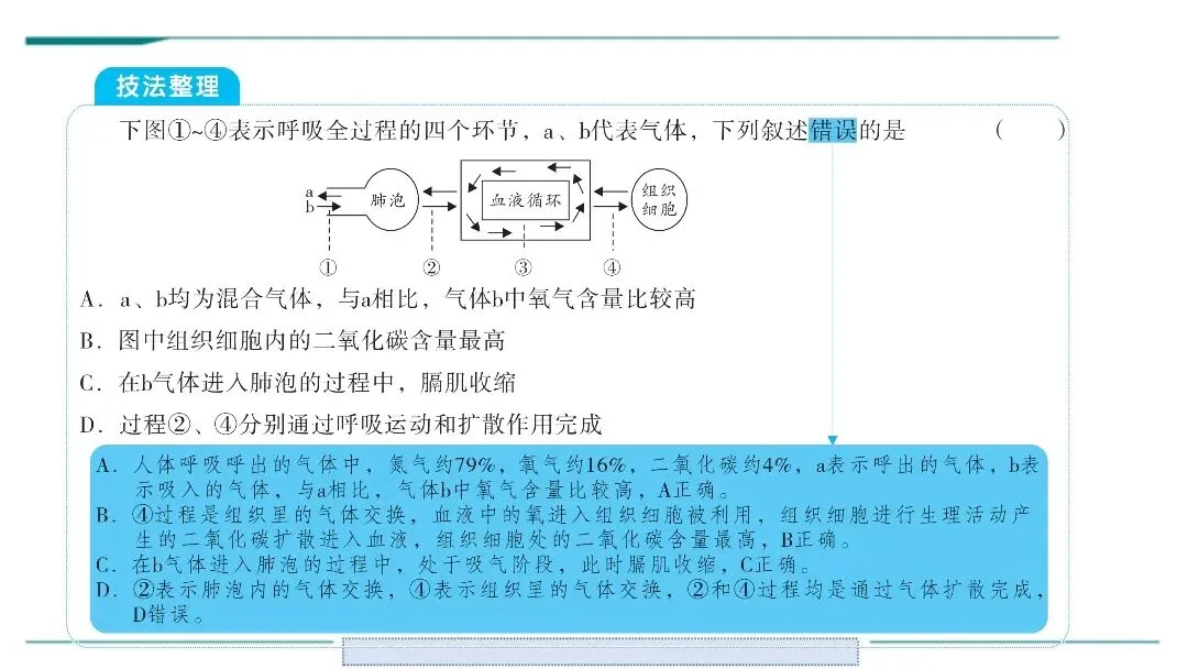 生物中考二轮复习pptx课件(共7个主题+4个专项,包括思维导图+特训之题型解读、方法技巧、专项突破等) 主题4 人体生理与健康-第7张图片-四季读书网 生物中考二轮复习pptx课件(共7个主题+4个专项,包括思维导图+特训之题型解读、方法技巧、专项突破等) 主题4 人体生理与健康-第7张图片-四季读书网