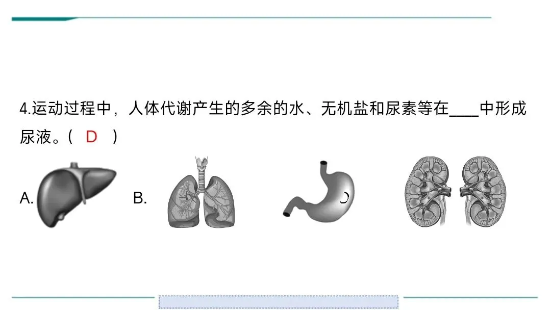 生物中考二轮复习pptx课件(共7个主题+4个专项,包括思维导图+特训之题型解读、方法技巧、专项突破等) 主题4 人体生理与健康-第10张图片-四季读书网 生物中考二轮复习pptx课件(共7个主题+4个专项,包括思维导图+特训之题型解读、方法技巧、专项突破等) 主题4 人体生理与健康-第10张图片-四季读书网