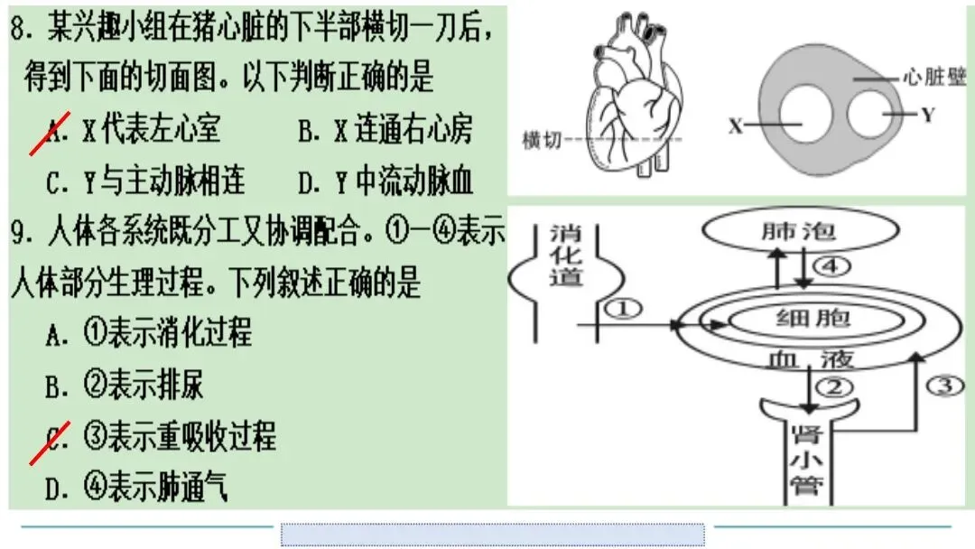 生物中考二轮复习pptx课件(共7个主题+4个专项,包括思维导图+特训之题型解读、方法技巧、专项突破等) 主题4 人体生理与健康-第11张图片-四季读书网 生物中考二轮复习pptx课件(共7个主题+4个专项,包括思维导图+特训之题型解读、方法技巧、专项突破等) 主题4 人体生理与健康-第11张图片-四季读书网