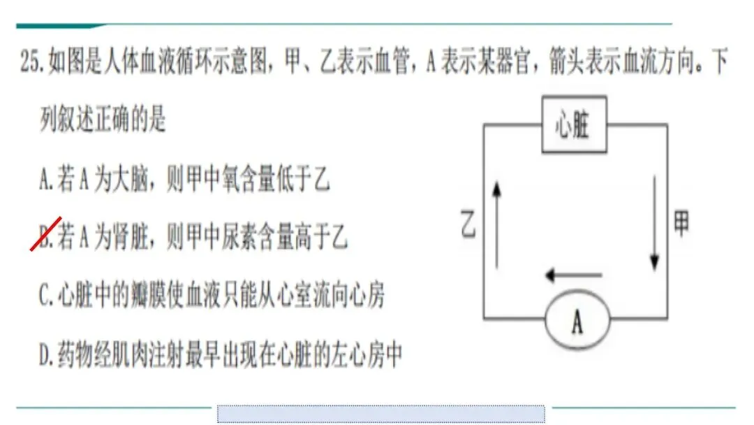 生物中考二轮复习pptx课件(共7个主题+4个专项,包括思维导图+特训之题型解读、方法技巧、专项突破等) 主题4 人体生理与健康-第13张图片-四季读书网 生物中考二轮复习pptx课件(共7个主题+4个专项,包括思维导图+特训之题型解读、方法技巧、专项突破等) 主题4 人体生理与健康-第13张图片-四季读书网